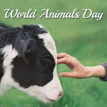 world-animals-day-1